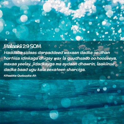 Picture 02 - Malaakii 2:9 SOM - Haddaba sidaas daraaddeed waxaan dadka oo dhan - Bible Verse Picture