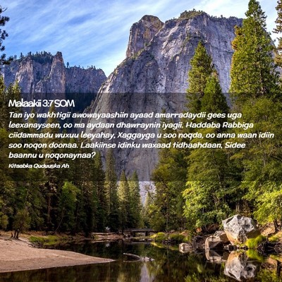 Picture 02 - Malaakii 3:7 SOM - Tan iyo wakhtigii awowayaashiin ayaad - Bible Verse Picture