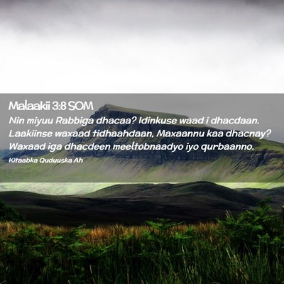 Picture 02 - Malaakii 3:8 SOM - Nin miyuu Rabbiga dhacaa? Idinkuse waad i - Bible Verse Picture