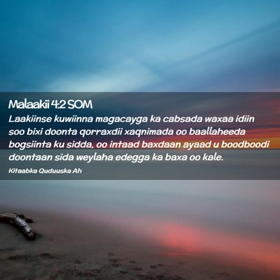 Picture 02 - Malaakii 4:2 SOM - Laakiinse kuwiinna magacayga ka cabsada waxaa - Bible Verse Picture