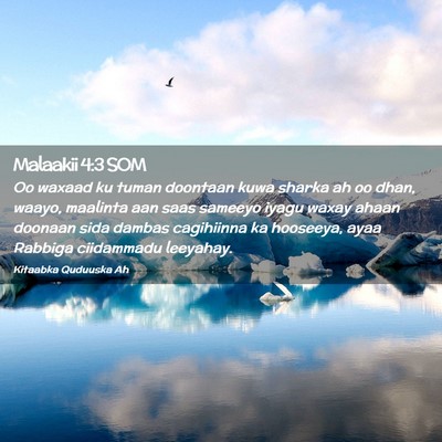 Picture 02 - Malaakii 4:3 SOM - Oo waxaad ku tuman doontaan kuwa sharka ah oo - Bible Verse Picture