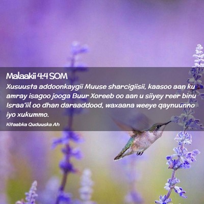 Picture 02 - Malaakii 4:4 SOM - Xusuusta addoonkaygii Muuse sharcigiisii, kaasoo - Bible Verse Picture