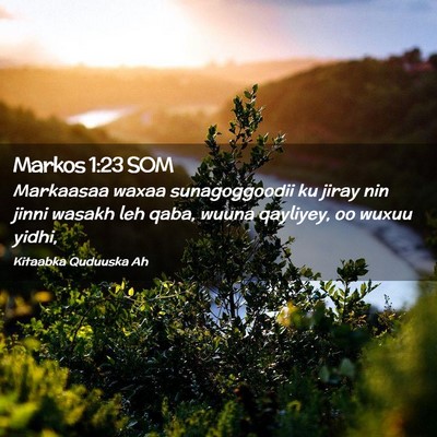 Picture 02 - Markos 1:23 SOM - Markaasaa waxaa sunagoggoodii ku jiray nin jinni - Bible Verse Picture