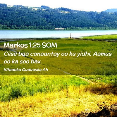Picture 02 - Markos 1:25 SOM - Ciise baa canaantay oo ku yidhi, Aamus oo ka soo - Bible Verse Picture