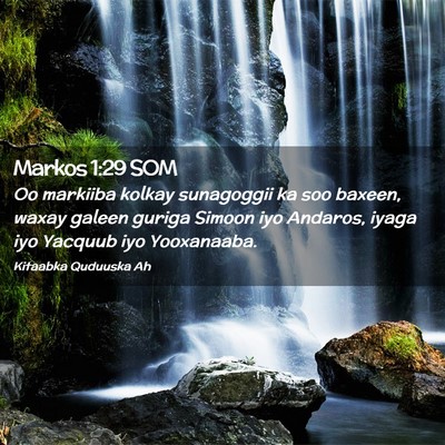 Picture 02 - Markos 1:29 SOM - Oo markiiba kolkay sunagoggii ka soo baxeen, - Bible Verse Picture