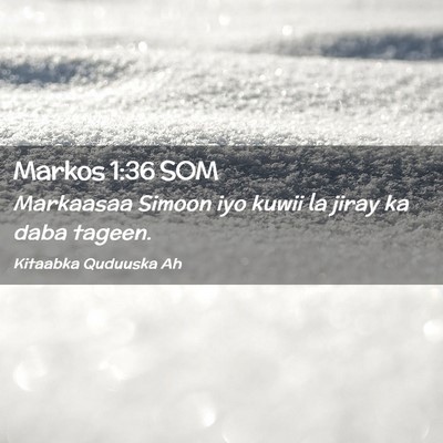 Picture 02 - Markos 1:36 SOM - Markaasaa Simoon iyo kuwii la jiray ka daba - Bible Verse Picture