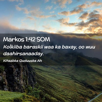 Picture 02 - Markos 1:42 SOM - Kolkiiba baraskii waa ka baxay, oo wuu - Bible Verse Picture