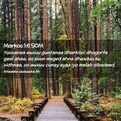 Picture 02 - Markos 1:6 SOM - Yooxanaa wuxuu guntanaa dharkiisii dhogorta geel - Bible Verse Picture