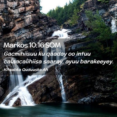 Picture 02 - Markos 10:16 SOM - Gacmihiisuu ku qaaday oo intuu calaacalihiisa - Bible Verse Picture