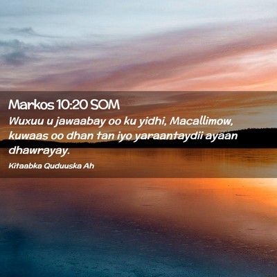 Picture 02 - Markos 10:20 SOM - Wuxuu u jawaabay oo ku yidhi, Macallimow, kuwaas - Bible Verse Picture
