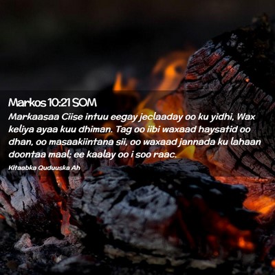Picture 02 - Markos 10:21 SOM - Markaasaa Ciise intuu eegay jeclaaday oo ku - Bible Verse Picture