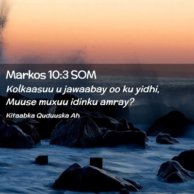 Picture 02 - Markos 10:3 SOM - Kolkaasuu u jawaabay oo ku yidhi, Muuse muxuu - Bible Verse Picture