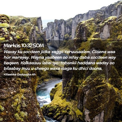 Picture 02 - Markos 10:32 SOM - Waxay ku socdeen jidka xaggii Yeruusaalem, - Bible Verse Picture