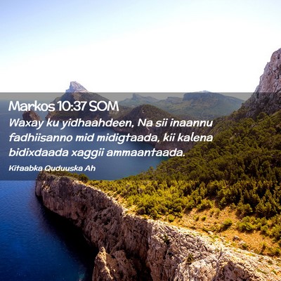 Picture 02 - Markos 10:37 SOM - Waxay ku yidhaahdeen, Na sii inaannu fadhiisanno - Bible Verse Picture