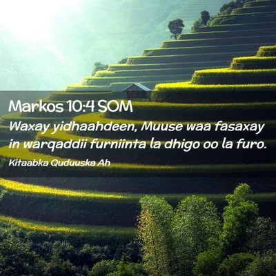 Picture 02 - Markos 10:4 SOM - Waxay yidhaahdeen, Muuse waa fasaxay in warqaddii - Bible Verse Picture