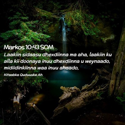 Picture 02 - Markos 10:43 SOM - Laakiin sidaasu dhexdiinna ma aha, laakiin ku - Bible Verse Picture