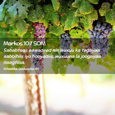 Picture 02 - Markos 10:7 SOM - Sababtaas aawadeed nin wuxuu ka tegayaa aabbihiis - Bible Verse Picture