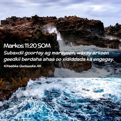 Picture 02 - Markos 11:20 SOM - Subaxdii goortay ag marayeen, waxay arkeen - Bible Verse Picture