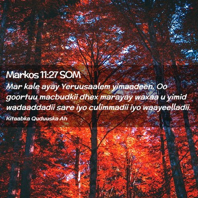Picture 02 - Markos 11:27 SOM - Mar kale ayay Yeruusaalem yimaadeen. Oo goortuu - Bible Verse Picture