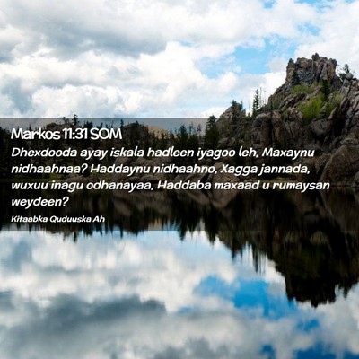 Picture 02 - Markos 11:31 SOM - Dhexdooda ayay iskala hadleen iyagoo leh, Maxaynu - Bible Verse Picture