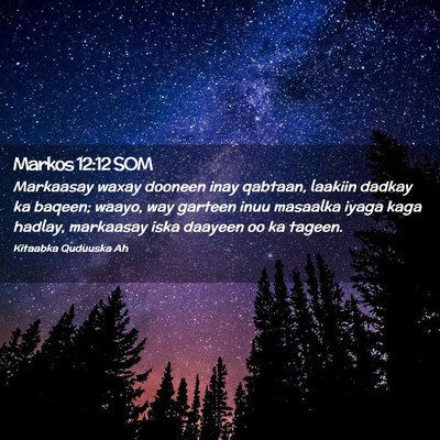 Picture 02 - Markos 12:12 SOM - Markaasay waxay dooneen inay qabtaan, laakiin - Bible Verse Picture