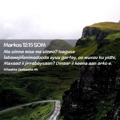 Picture 02 - Markos 12:15 SOM - Ma siinna mise ma siinno? Isaguse - Bible Verse Picture