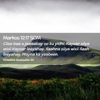 Picture 02 - Markos 12:17 SOM - Ciise baa u jawaabay oo ku yidhi, Kaysar siiya - Bible Verse Picture