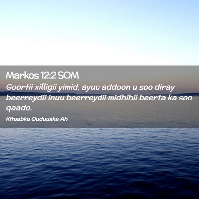 Picture 02 - Markos 12:2 SOM - Goortii xilligii yimid, ayuu addoon u soo diray - Bible Verse Picture