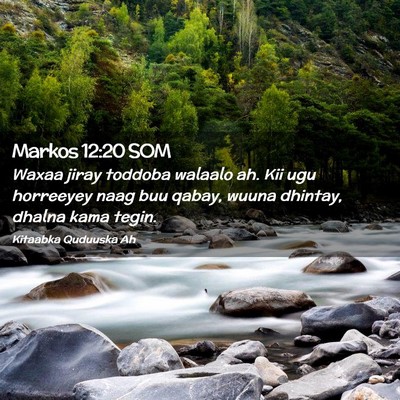 Picture 02 - Markos 12:20 SOM - Waxaa jiray toddoba walaalo ah. Kii ugu horreeyey - Bible Verse Picture