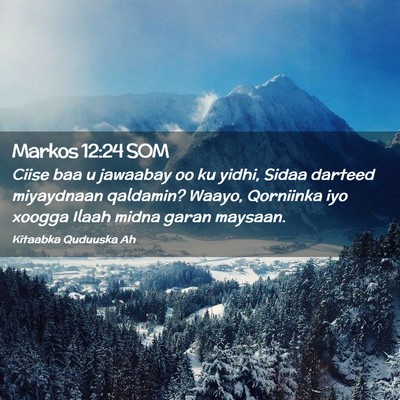 Picture 02 - Markos 12:24 SOM - Ciise baa u jawaabay oo ku yidhi, Sidaa darteed - Bible Verse Picture