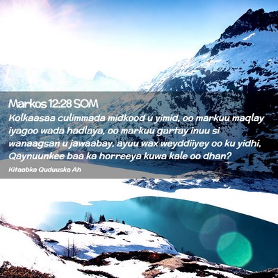 Picture 02 - Markos 12:28 SOM - Kolkaasaa culimmada midkood u yimid, oo markuu - Bible Verse Picture