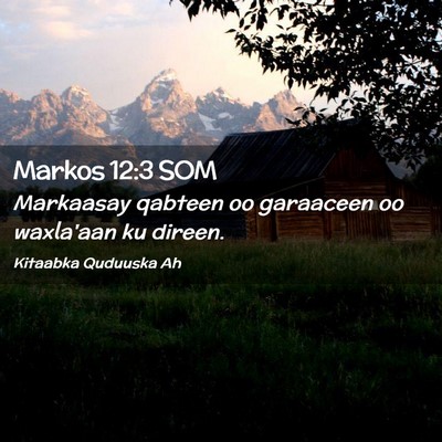 Picture 02 - Markos 12:3 SOM - Markaasay qabteen oo garaaceen oo waxla'aan ku - Bible Verse Picture