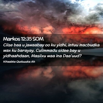 Picture 02 - Markos 12:35 SOM - Ciise baa u jawaabay oo ku yidhi, intuu macbudka - Bible Verse Picture
