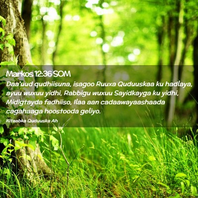 Picture 02 - Markos 12:36 SOM - Daa'uud qudhiisuna, isagoo Ruuxa Quduuskaa ku - Bible Verse Picture