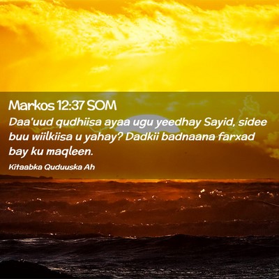 Picture 02 - Markos 12:37 SOM - Daa'uud qudhiisa ayaa ugu yeedhay Sayid, sidee - Bible Verse Picture