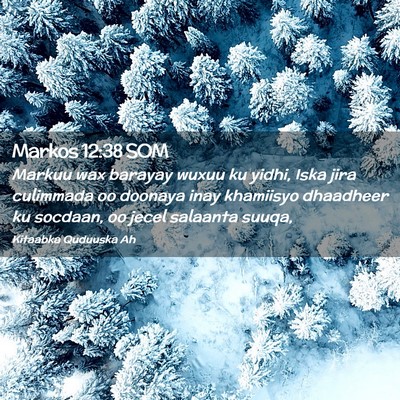 Picture 02 - Markos 12:38 SOM - Markuu wax barayay wuxuu ku yidhi, Iska jira - Bible Verse Picture