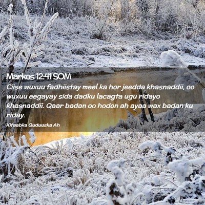 Picture 02 - Markos 12:41 SOM - Ciise wuxuu fadhiistay meel ka hor jeedda - Bible Verse Picture