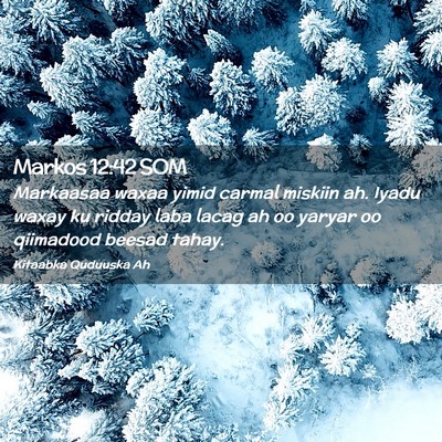 Picture 02 - Markos 12:42 SOM - Markaasaa waxaa yimid carmal miskiin ah. Iyadu - Bible Verse Picture