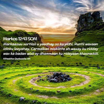 Picture 02 - Markos 12:43 SOM - Markaasuu xertiisii u yeedhay oo ku yidhi, Runtii - Bible Verse Picture