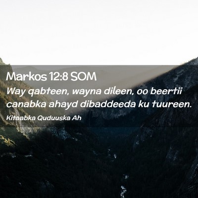 Picture 02 - Markos 12:8 SOM - Way qabteen, wayna dileen, oo beertii canabka - Bible Verse Picture