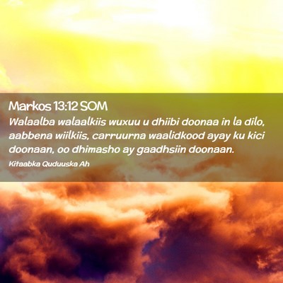 Picture 02 - Markos 13:12 SOM - Walaalba walaalkiis wuxuu u dhiibi doonaa in la - Bible Verse Picture