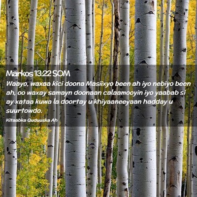 Picture 02 - Markos 13:22 SOM - Waayo, waxaa kici doona Masiixyo been ah iyo - Bible Verse Picture