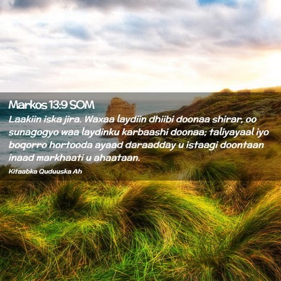 Picture 02 - Markos 13:9 SOM - Laakiin iska jira. Waxaa laydiin dhiibi doonaa - Bible Verse Picture
