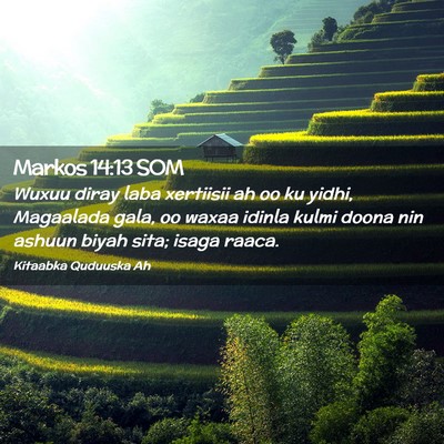 Picture 02 - Markos 14:13 SOM - Wuxuu diray laba xertiisii ah oo ku yidhi, - Bible Verse Picture