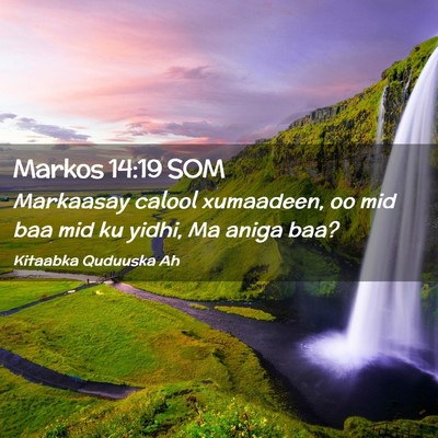 Picture 02 - Markos 14:19 SOM - Markaasay calool xumaadeen, oo mid baa mid ku - Bible Verse Picture