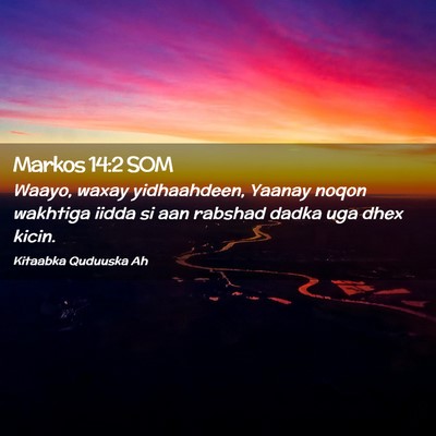 Picture 02 - Markos 14:2 SOM - Waayo, waxay yidhaahdeen, Yaanay noqon wakhtiga - Bible Verse Picture