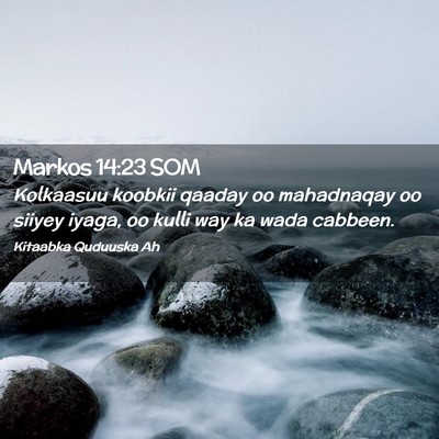 Picture 02 - Markos 14:23 SOM - Kolkaasuu koobkii qaaday oo mahadnaqay oo siiyey - Bible Verse Picture