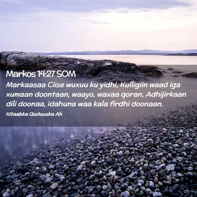 Picture 02 - Markos 14:27 SOM - Markaasaa Ciise wuxuu ku yidhi, Kulligiin waad - Bible Verse Picture