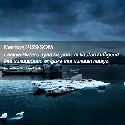 Picture 02 - Markos 14:29 SOM - Laakiin Butros ayaa ku yidhi, In kastoo kulligood - Bible Verse Picture