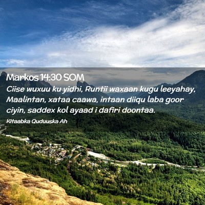 Picture 02 - Markos 14:30 SOM - Ciise wuxuu ku yidhi, Runtii waxaan kugu - Bible Verse Picture